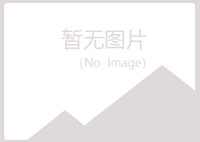 台湾字迹能源有限公司